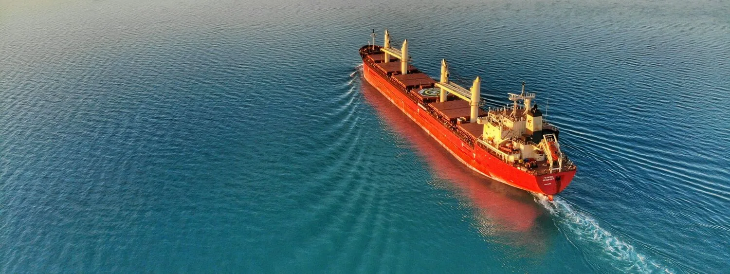 Red container ship in the middle of the sea