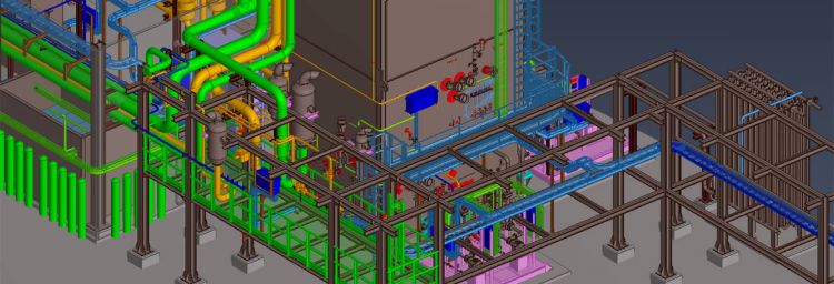 3D Plant model
