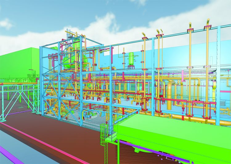 3D Plant model